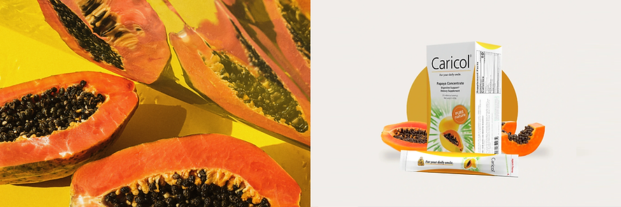 header 2  (2).png