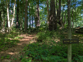 Sanctuary Walking Trails