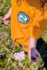 062f9233-4b3f-4252-b6fe-7c0884426abc~1.jpg
