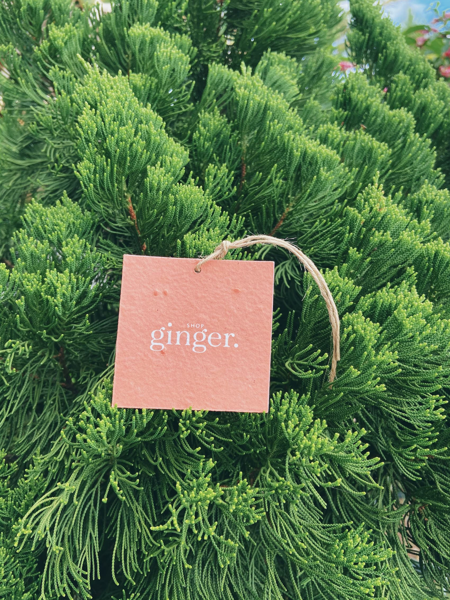 Tag papel semente quadrado 7x7cm, com furo e fio rami