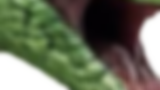 Snake Transparent.png