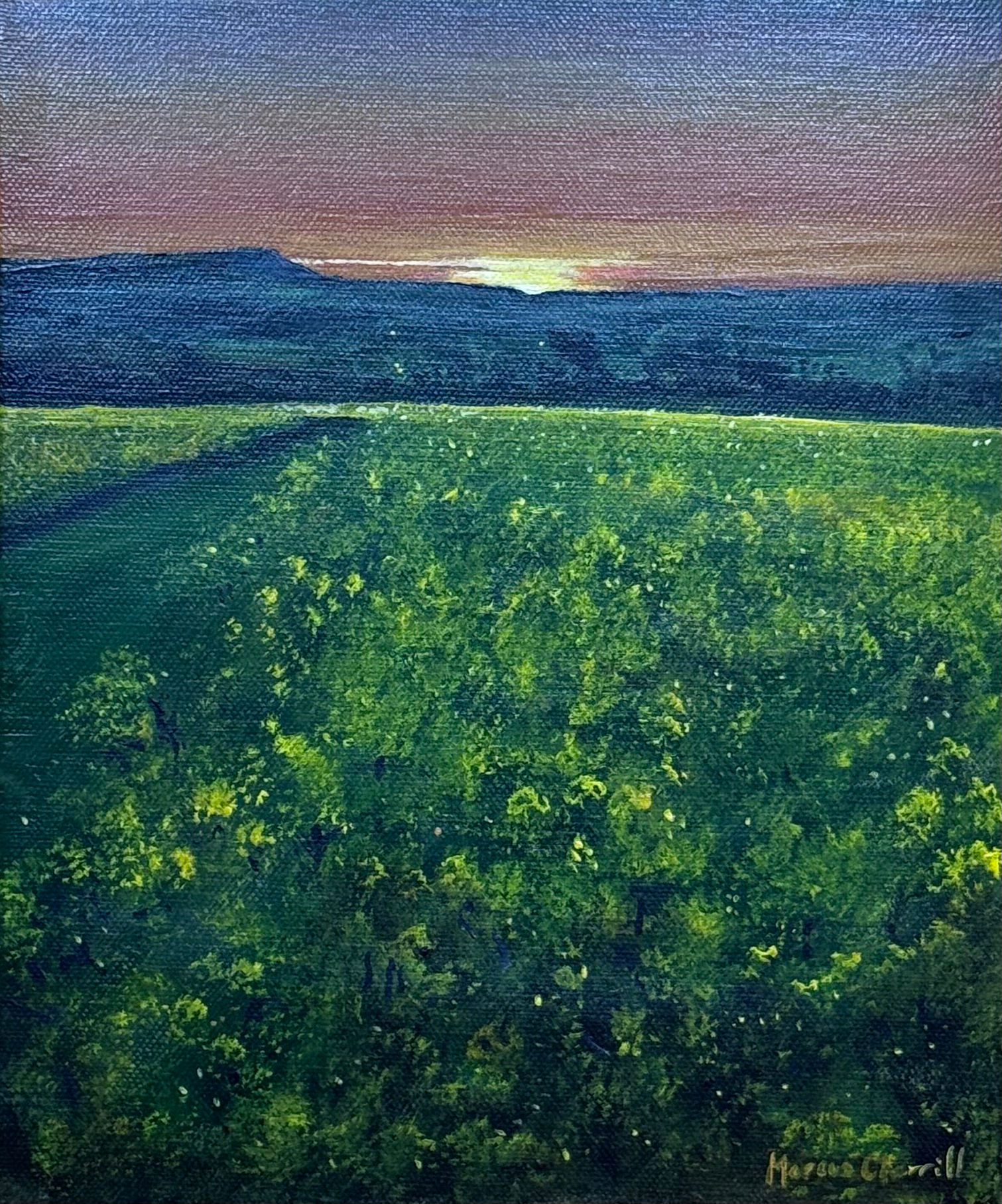 Across to Firle Beacon