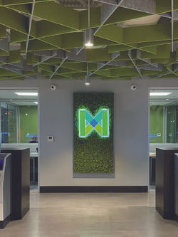 Multipli_interior