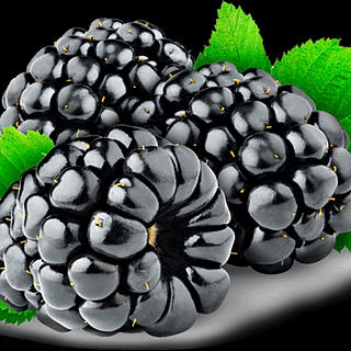 Foto do escritor: Fatos Jornal