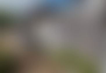 Paraguaçu Paulista tem um aumento no número de casos de dengue