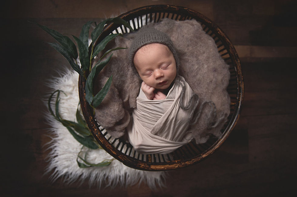 Newborn photography boy in basket
