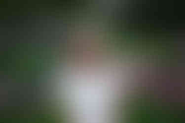 Portait of a girl in a white dress standing among flowers