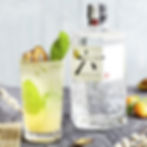 Zen & Tonic