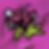 ispyink cover.png