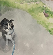 IMG_4590 Large_edited.jpg