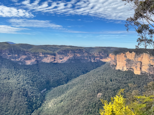 Evans Lookout