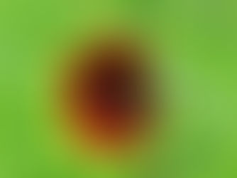 The 5 best places in Sydney to escape from stress