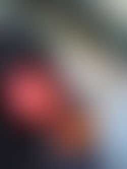 VIVO Cafe owners, dynamic brother & sister duo Con and Angela Vithoulkas have just launched Italian