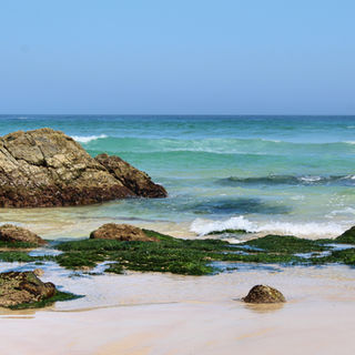seal rocks beach