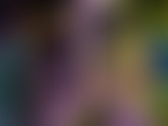 Brie-lieve it or not, but Sydney has its own cheese festival.