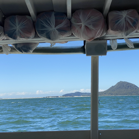 Tea Gardens Ferry scenery