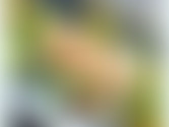 Best Restaurants in Sydney: Cala Luna Middle Harbour Yacht Club