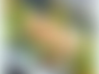 Best Restaurants in Sydney: Cala Luna Middle Harbour Yacht Club