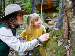 Sydney National Park