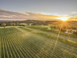Horizontal Festival, Set to Debut at Centennial Vineyards in the Picturesque Southern Highlands