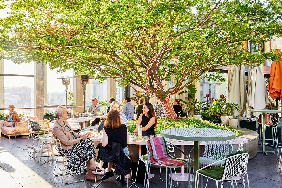 People enjoy a rooftop café under a leafy tree with vibrant pink lights. Bright setting, lively atmosphere, and assorted chairs and tables.