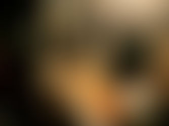 Leonardo Salinas Launches SS15/16 Collection - Concept Woman