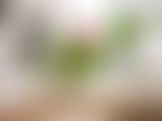 Refresh Your Home With Beautiful Plant Pots