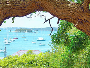 Make the Most of a Sunny Day in Sydney