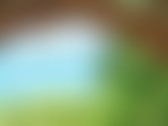 Make the Most of a Sunny Day in Sydney