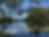 urunga wetlands