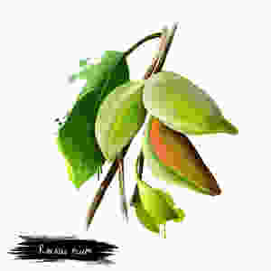 Kakadu Plum good for skin