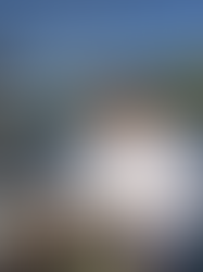 Booking.com Seafood Sail Led by Peter Gilmore