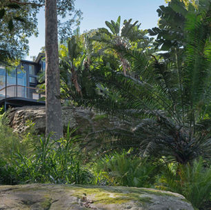 Wild Luxury Introduces Forest Bathing at Crane Lodge to Help Guests Reconnect with Nature