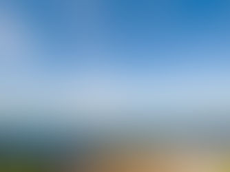 Sydney's Photo of the week | Shelly Beach Park in Cronulla