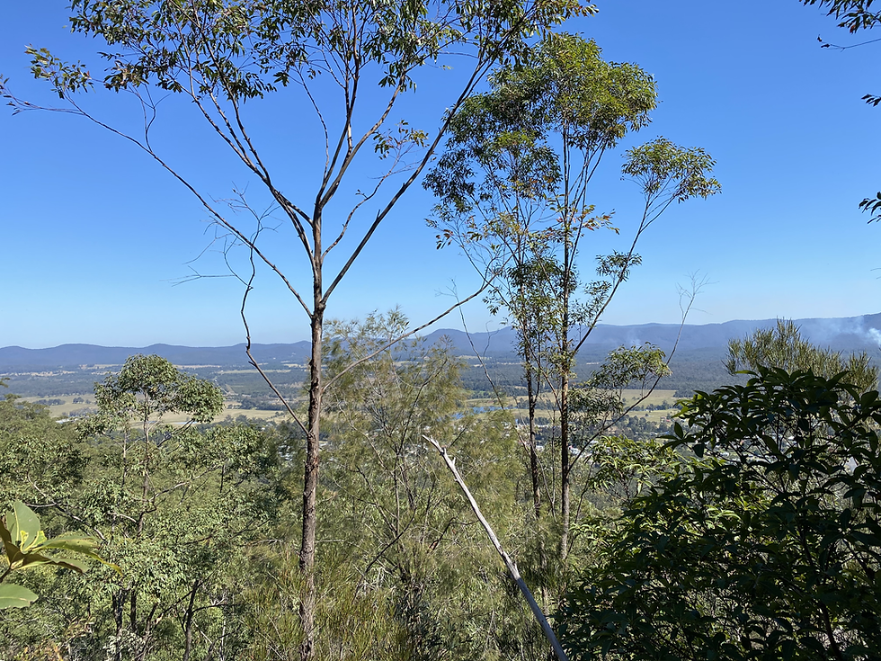 Bulahdelah Mountain Aboriginal Place