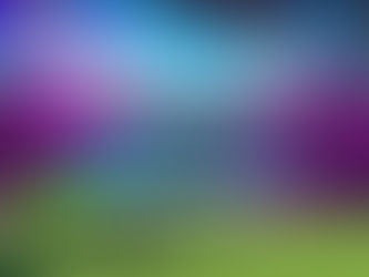 Newkind Festival - Tasmania