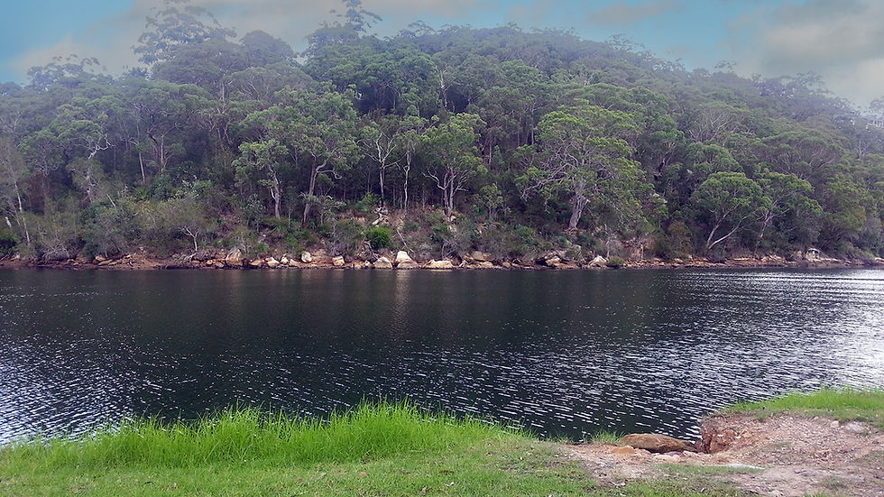 ST Ives Sydney