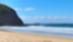Elizabeth Beach view of Forster