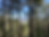 Bulahdelah Mountain Aboriginal Place