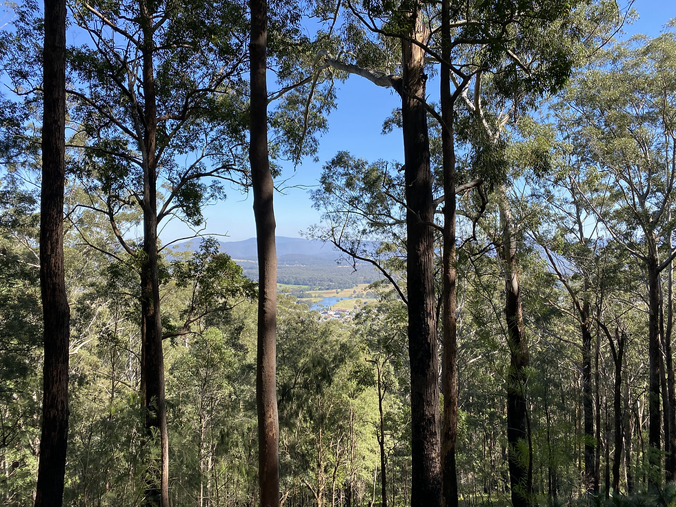 Bulahdelah Mountain Aboriginal Place