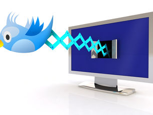 Twitter Australia and [V] HITS have announced the launch of a brand new television show, Tweet The B
