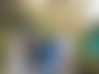 Distillery Botanica Embraces Festive Spirit With Gin-gerbread and New Berry Liqueur