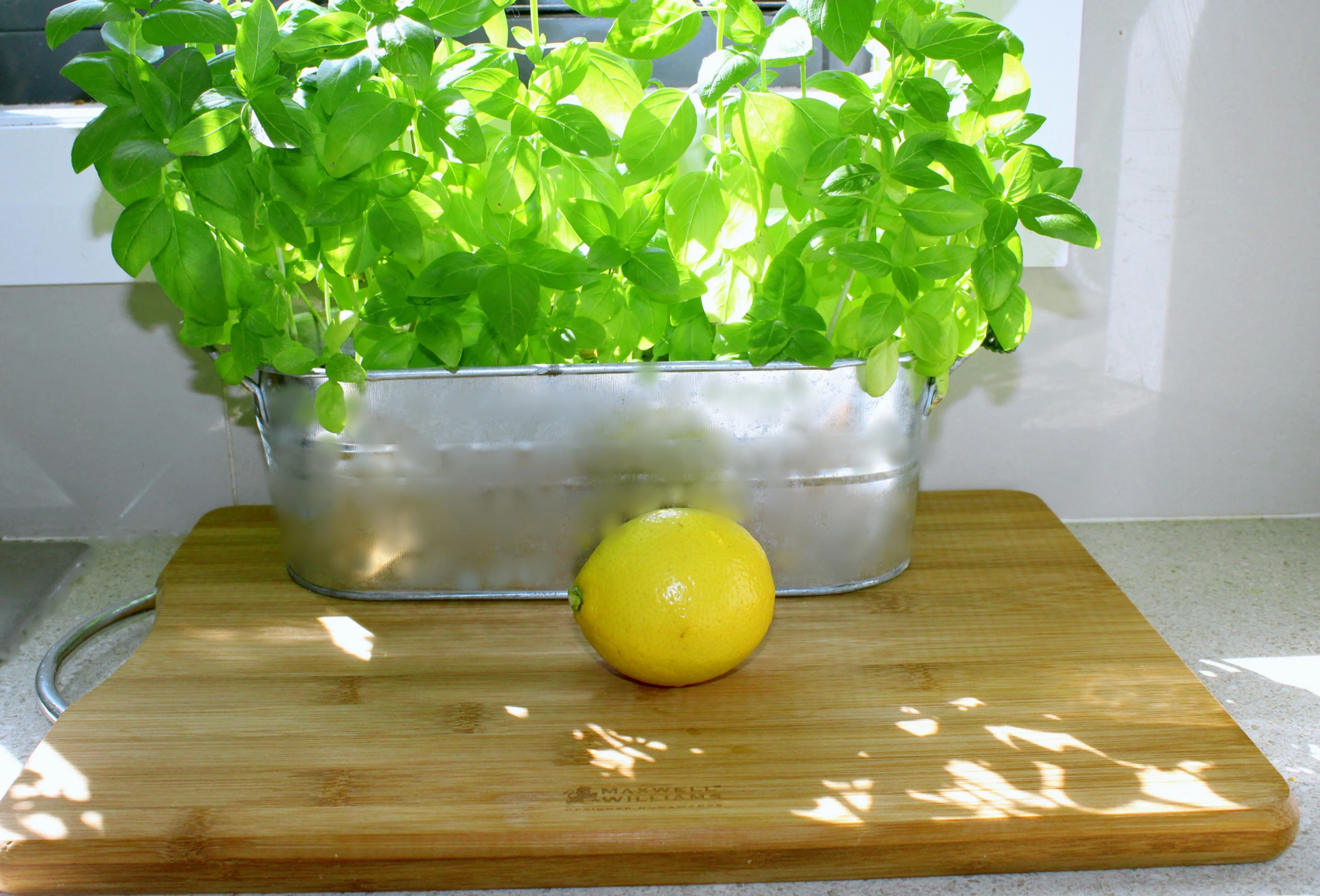 basil and lemon