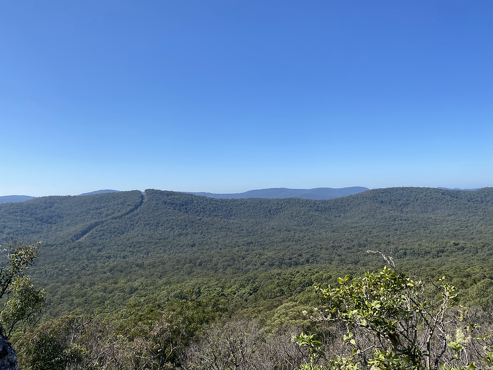 Bulahdelah Mountain Aboriginal Place