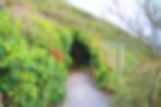 Foliage tunnel Frewins Walk
