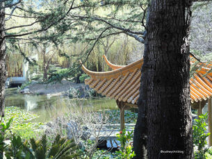 Things to do in Sydney: visit the Chinese Garden of Friendship