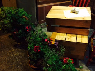 Restaurant Review: Pasta Emilia Traditional & Organic