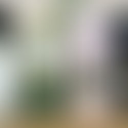 Haven candles and diffuser