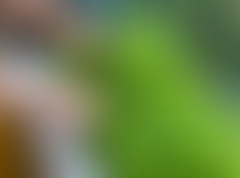 Grow an Edible garden in an Apartment