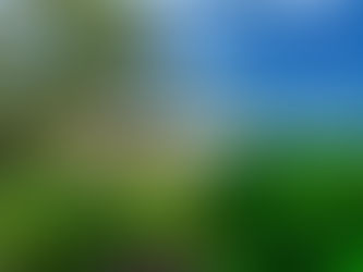 Destinations in Paradise Offers Luxurious Accommodation at Los Cabos International Film Festival